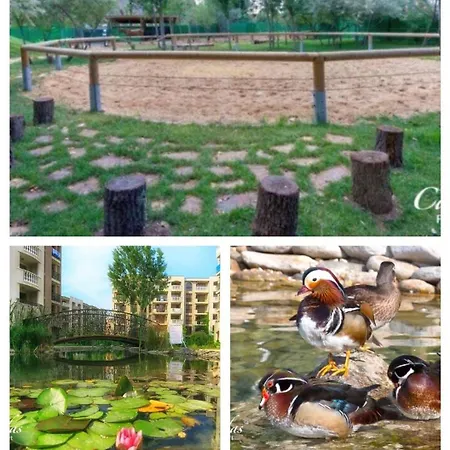 Coliber Cascadas Napospart