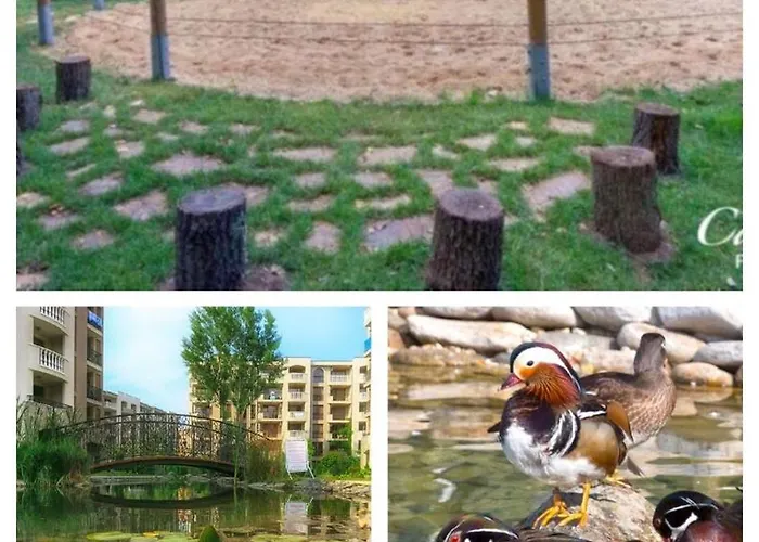 Coliber Cascadas Sunny Beach